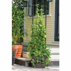 Gardener's Victory Self-Watering Planter with Vine Trellis - Gardener's Supply Company