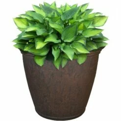 Sunnydaze Decor Sunnydaze Anjelica Polyresin Outdoor/Indoor Unbreakable Double-Walled UV-Resistant Flower Pot Planter - 16" Diameter - Rust 7 Sunnydaze Decor Sunnydaze Anjelica Polyresin Outdoor/Indoor Unbreakable Double-Walled UV-Resistant Flower Pot Planter - 16" Diameter - Rust -Cheap Planters Store unnamed file 4226