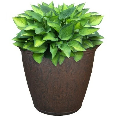 Sunnydaze Decor Sunnydaze Anjelica Polyresin Outdoor/Indoor Unbreakable Double-Walled UV-Resistant Flower Pot Planter - 16" Diameter - Rust 5 Sunnydaze Decor Sunnydaze Anjelica Polyresin Outdoor/Indoor Unbreakable Double-Walled UV-Resistant Flower Pot Planter - 16" Diameter - Rust - Image 3