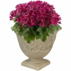 Sunnydaze Decor Sunnydaze Indoor/Outdoor Patio, Garden, or Porch Weather-Resistant Double-Walled Darcy Flower Pot Planter - 16" - Beige 9 Sunnydaze Decor Sunnydaze Indoor/Outdoor Patio, Garden, or Porch Weather-Resistant Double-Walled Darcy Flower Pot Planter - 16" - Beige -Cheap Planters Store unnamed file 4296