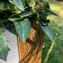 Rosemead Home & Garden, Inc. Set of 2 Kante Lightweight Modern Outdoor Concrete Square Planters Timber Ridge - Rosemead Home & Garden, Inc. -Cheap Planters Store unnamed file 4340