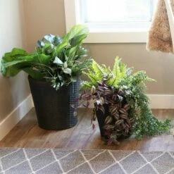 Sunnydaze Decor Sunnydaze Round Indoor Polyrattan Planters with Attached Clear Polypropylene Liner 14.5" Diameter x 15" H and 11.75" Diameter x 12" H - Black 2-Piece