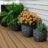 3pc Homestead Fiber Clay Planter Set - 12", 15", and 17" - Dark Gray - Sunnydaze Decor -Cheap Planters Store unnamed file 4402