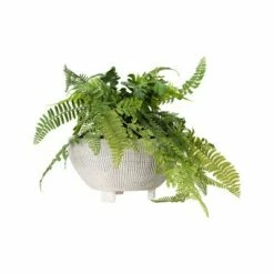 Small Footed Terracotta Planter with Fluted Texture Distressed Cream - 3R Studios -Cheap Planters Store unnamed file 4408