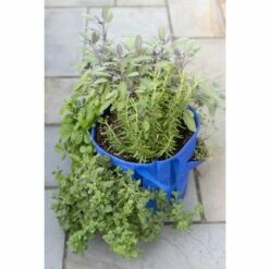 Gardener’s Best® Strawberry and Herb Grow Bag - Gardener's Supply Company