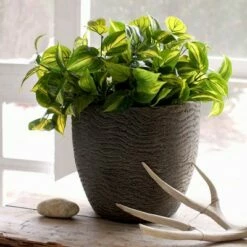 The HC Companies HC Companies ANP17500 17.5 Inch Aspen Indoor Outdoor Round Fiberglass Planter Pot with Contemporary Textured Design, Charcoal