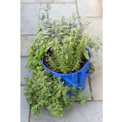 Gardener’s Best® Strawberry and Herb Grow Bag - Gardener's Supply Company 3 Gardener’s Best® Strawberry and Herb Grow Bag - Gardener's Supply Company