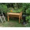 Compact VegTrug - Elevated Patio Garden - VEGTRUG LIMITED