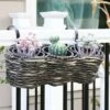 Sunnydaze Decor Sunnydaze Indoor/Outdoor Polyrattan Over-the-Rail Tri-Planter with 3 Round Black Plastic Liners - Charcoal -Cheap Planters Store unnamed file 4722