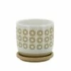 Sagebrook Home Circles Ceramic Planter with Saucer White -Cheap Planters Store unnamed file 4745