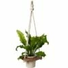 Planter Hanger - Gardener's Supply Company -Cheap Planters Store unnamed file 4748