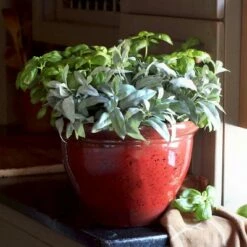 The HC Companies HC Companies PZA12000Y35 Pizzazz 12 Inch Diameter x 9 Inch Tall Round Plastic Resin Flower Garden Planter Pot, Warm Red