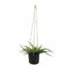 Sagebrook Home 6" Vector Ceramic Hanging Planter Mint -Cheap Planters Store unnamed file 4781