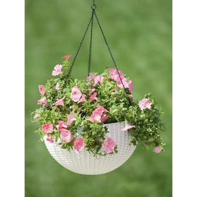 Weave Self-Watering Hanging Basket, 14 Inch - Gardener's Supply Company 4 Weave Self-Watering Hanging Basket, 14 Inch - Gardener's Supply Company - Image 2