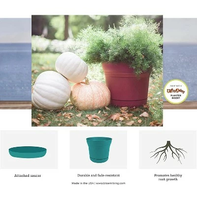 Bloem SP1000 Saturn Indoor Outdoor 10" Matte Finish Durable Plastic Planter Pot with Attached Saucer and Pre Drilled Drainage Holes, Black (2 Pack) 5 Bloem SP1000 Saturn Indoor Outdoor 10" Matte Finish Durable Plastic Planter Pot with Attached Saucer and Pre Drilled Drainage Holes, Black (2 Pack) - Image 3