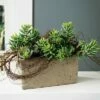 Sullivans Rectangular Planter 5"H Gray