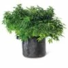 Gardener's Best Universal Grow Bag - Gardener's Supply Company -Cheap Planters Store unnamed file 4829