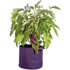 Gardener's Best Universal Grow Bag - Gardener's Supply Company -Cheap Planters Store unnamed file 4831