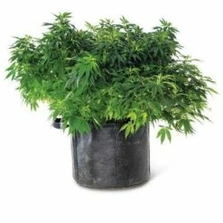 Gardener's Best Universal Grow Bag - Gardener's Supply Company -Cheap Planters Store unnamed file 4832