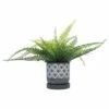 Sagebrook Home Fan Cement Planter with Saucer Gray