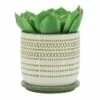 Set of 2 5.75" Ceramic Planters with Saucer Olive - Sagebrook Home -Cheap Planters Store unnamed file 4919