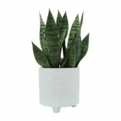 Set of 2 12" Bravais Footed Ceramic Planters White - Sagebrook Home