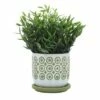 Sagebrook Home Circles Ceramic Planter with Saucer Olive 2 Sagebrook Home Circles Ceramic Planter with Saucer Olive -Cheap Planters Store unnamed file 5086