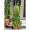Gardener's Victory Self-Watering Planter Garden with Vine Trellis - Gardener's Supply Company -Cheap Planters Store unnamed file 5102