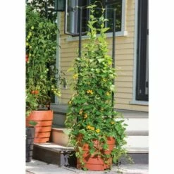 Gardener's Victory Self-Watering Planter Garden with Vine Trellis - Gardener's Supply Company