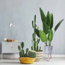 Rosemead Home & Garden, Inc. 17.4" Lightweight Cement Classic Outdoor/Indoor Planter with Wooden Legs Light Gray - Rosemead Home & Garden, Inc. -Cheap Planters Store unnamed file 5165