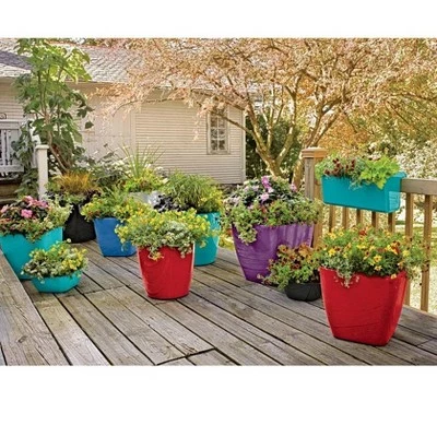 Viva Self-Watering Rolling Planter, Square Small - Gardener's Supply Company 4 Viva Self-Watering Rolling Planter, Square Small - Gardener's Supply Company - Image 2