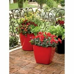 Viva Self-Watering Rolling Planter, Square Small - Gardener's Supply Company 11 Viva Self-Watering Rolling Planter, Square Small - Gardener's Supply Company -Cheap Planters Store unnamed file 5172