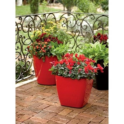 Viva Self-Watering Rolling Planter, Square Small - Gardener's Supply Company 5 Viva Self-Watering Rolling Planter, Square Small - Gardener's Supply Company - Image 3