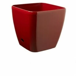 Viva Self-Watering Rolling Planter, Square Small - Gardener's Supply Company 15 Viva Self-Watering Rolling Planter, Square Small - Gardener's Supply Company -Cheap Planters Store unnamed file 5176