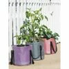 Reinforced Colorful Grow Bag, 12" x 11" - Gardener's Supply Company -Cheap Planters Store unnamed file 5192