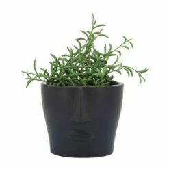 Sagebrook Home 6" Face Ceramic Planter Black 9 Sagebrook Home 6" Face Ceramic Planter Black -Cheap Planters Store unnamed file 5208