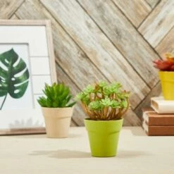 Juvale 24 Pack Plastic Small Flower Pots Planters for Indoor Outdoor Plant, Succulent, 4 Colors 1.5 x 1.5 x 2.3"