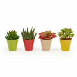 Juvale 24 Pack Plastic Small Flower Pots Planters for Indoor Outdoor Plant, Succulent, 4 Colors 1.5 x 1.5 x 2.3" -Cheap Planters Store unnamed file 5296