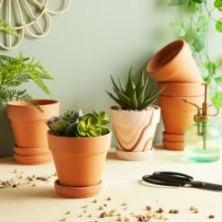 Juvale 6 Pack Terra Cotta Clay Pots with Saucer, Small Plant Pots, Planters for Succulents, 4 x 4 x 4.2 In