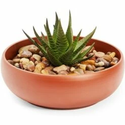Juvale Ceramic Bowl Planter Pots with Drainage Hole for Indoors & Outdoors, Brown, 8" x 2.6"