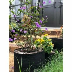 Smart Pot 30 Gallon Portable Fabric Dirt Grow Planter Vegetable Plant Flower Pot Soft Sided Container Bucket, Black -Cheap Planters Store unnamed file 5377