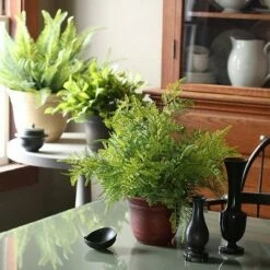 Listo SRA13001P05 13-Inch Round Resin Sierra Planter, Rustic Redstone (3 Pack) -Cheap Planters Store unnamed file 5413