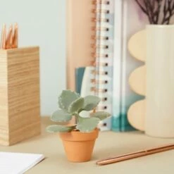 Juvale 10 Pack Terra Cotta Clay Pots, Small Plant Pots, Planters for Succulent & Cactus, 1.9 x 1.9 x 1.5"