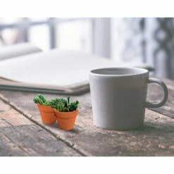 Juvale 10 Pack Terra Cotta Clay Pots, Small Plant Pots, Planters for Succulent & Cactus, 1.9 x 1.9 x 1.5" -Cheap Planters Store unnamed file 5472