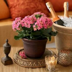 Listo SRA13001P05 13-Inch Round Outdoor Resin Sierra Planter for Flowers and Succulents, Rustic Redstone