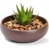 Juvale Ceramic Bowl Planter Pots with Drainage Hole for Indoors & Outdoors, Dark Brown, 8" x 2.6"