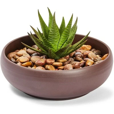 Juvale Ceramic Bowl Planter Pots with Drainage Hole for Indoors & Outdoors, Dark Brown, 8" x 2.6" 2 Juvale Ceramic Bowl Planter Pots with Drainage Hole for Indoors & Outdoors, Dark Brown, 8" x 2.6"