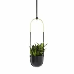 Bolo Planter Black - Umbra