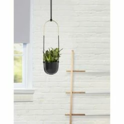 Bolo Planter Black - Umbra -Cheap Planters Store unnamed file 5600