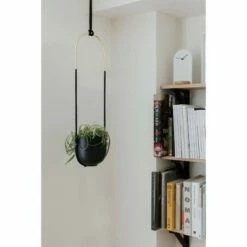 Bolo Planter Black - Umbra -Cheap Planters Store unnamed file 5601